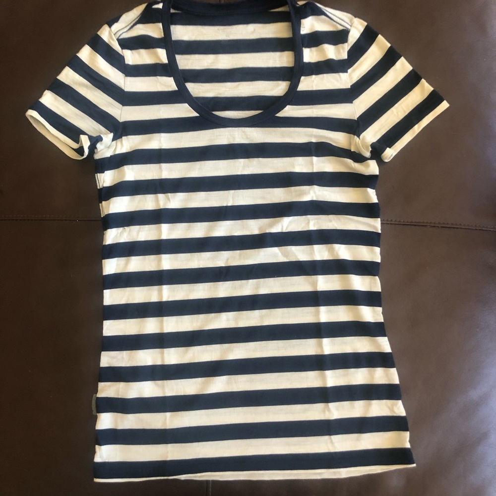 Icebreaker merino tee